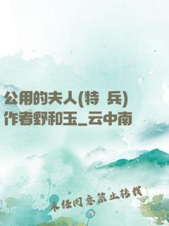 公用的夫人(特種兵)作者野和玉