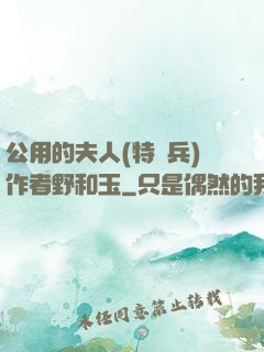 公用的夫人(特種兵)作者野和玉
