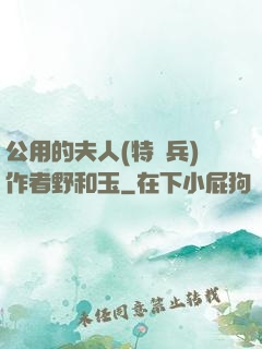 公用的夫人(特種兵)作者野和玉