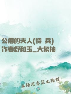 公用的夫人(特種兵)作者野和玉