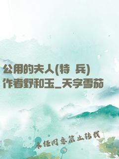 公用的夫人(特種兵)作者野和玉