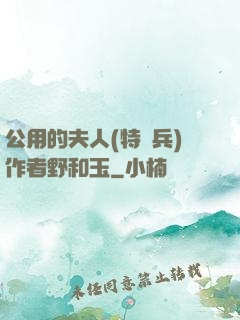 公用的夫人(特種兵)作者野和玉