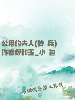 公用的夫人(特種兵)作者野和玉