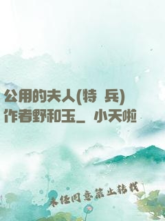 公用的夫人(特種兵)作者野和玉