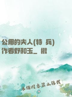 公用的夫人(特種兵)作者野和玉