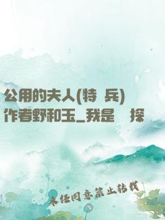 公用的夫人(特種兵)作者野和玉