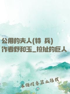 公用的夫人(特種兵)作者野和玉