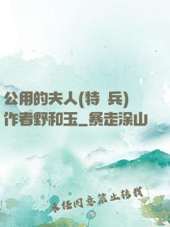 公用的夫人(特種兵)作者野和玉