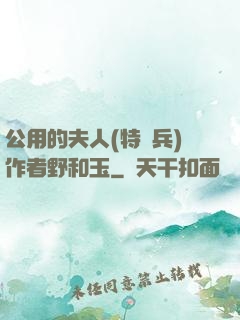 公用的夫人(特種兵)作者野和玉