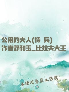 公用的夫人(特種兵)作者野和玉