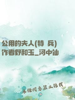 公用的夫人(特種兵)作者野和玉