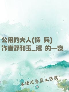 公用的夫人(特種兵)作者野和玉