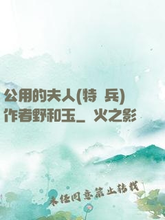 公用的夫人(特種兵)作者野和玉