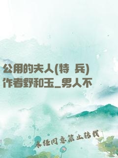 公用的夫人(特種兵)作者野和玉