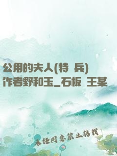 公用的夫人(特種兵)作者野和玉