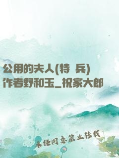 公用的夫人(特種兵)作者野和玉