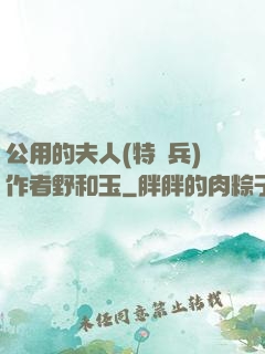 公用的夫人(特種兵)作者野和玉