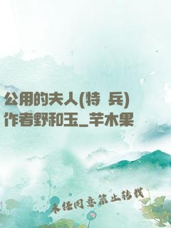 公用的夫人(特種兵)作者野和玉
