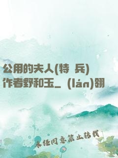 公用的夫人(特種兵)作者野和玉
