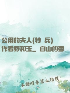 公用的夫人(特種兵)作者野和玉