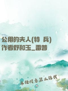 公用的夫人(特種兵)作者野和玉