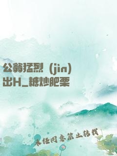 公翁猛烈進(jìn)出H