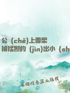 公車(chē)上雪柔被猛烈的進(jìn)出小說(shuō)