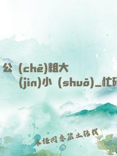 公車(chē)粗大緩緩擠進(jìn)小說(shuō)