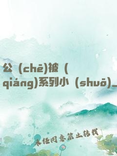 公車(chē)被強(qiáng)系列小說(shuō)