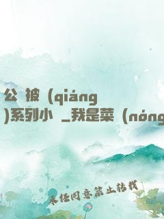 公車被強(qiáng)系列小說