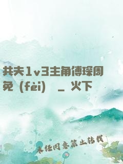 共夫1v3主角傅琛周免費(fèi)閱讀
