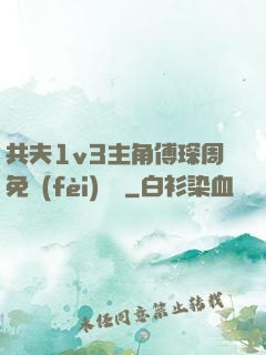 共夫1v3主角傅琛周免費(fèi)閱讀