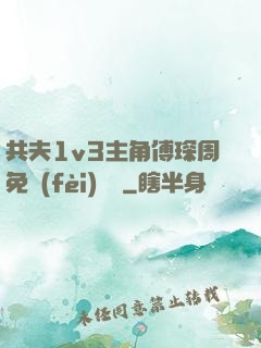 共夫1v3主角傅琛周免費(fèi)閱讀
