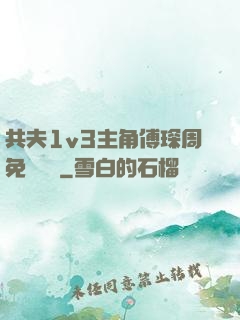 共夫1v3主角傅琛周免費閱讀