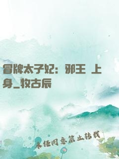 冒牌太子妃：邪王寵上身