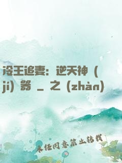 冷王追妻：逆天神級(jí)煉器師