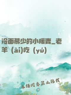 冷面慕少的小暖妻