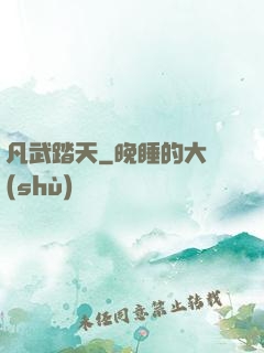 凡武踏天