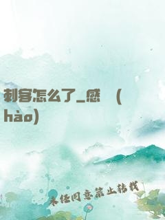 刺客怎么了