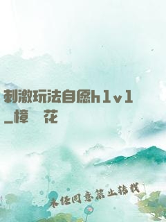 刺激玩法自愿h1v1