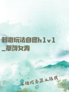 刺激玩法自愿h1v1