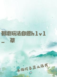 刺激玩法自愿h1v1