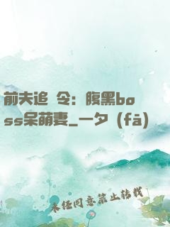 前夫追緝令：腹黑boss呆萌妻