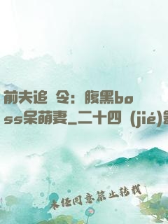 前夫追緝令：腹黑boss呆萌妻