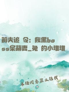 前夫追緝令：腹黑boss呆萌妻