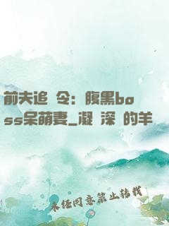 前夫追緝令：腹黑boss呆萌妻