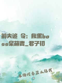 前夫追緝令：腹黑boss呆萌妻