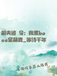 前夫追緝令：腹黑boss呆萌妻