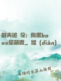前夫追緝令：腹黑boss呆萌妻