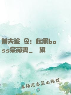 前夫追緝令：腹黑boss呆萌妻